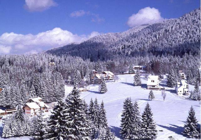 Poiana Brasov, Aparthotel 609,Alpin Exterior foto